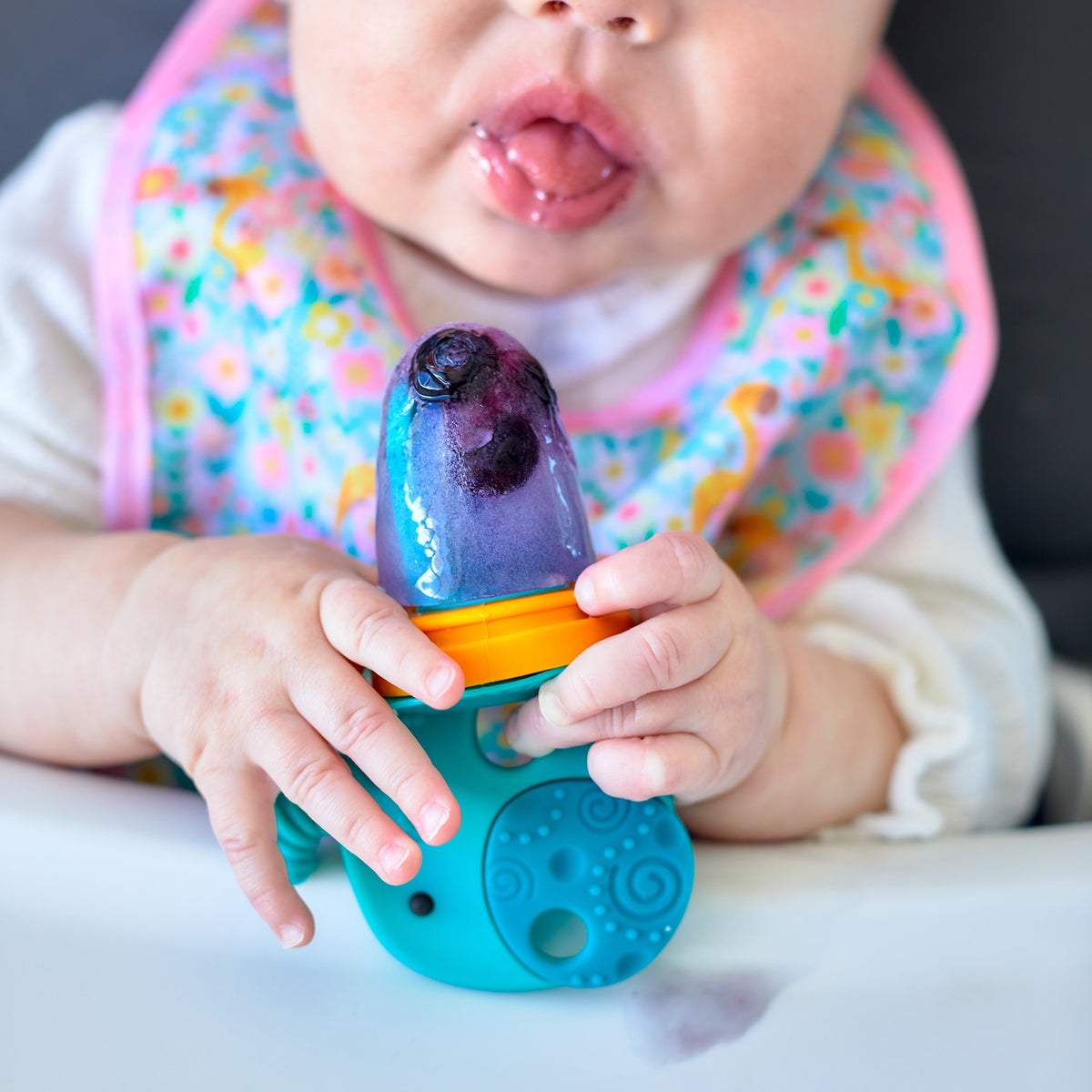 Silicone Self Feeder N Pop