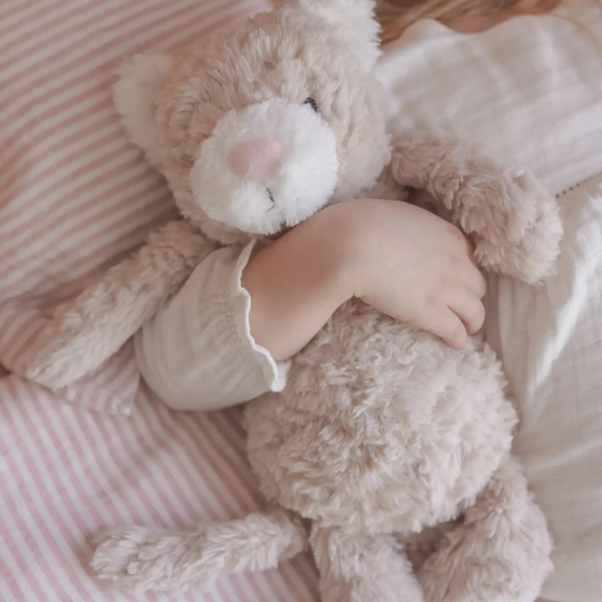 Mindful & Co Pickles the Weighted Cat