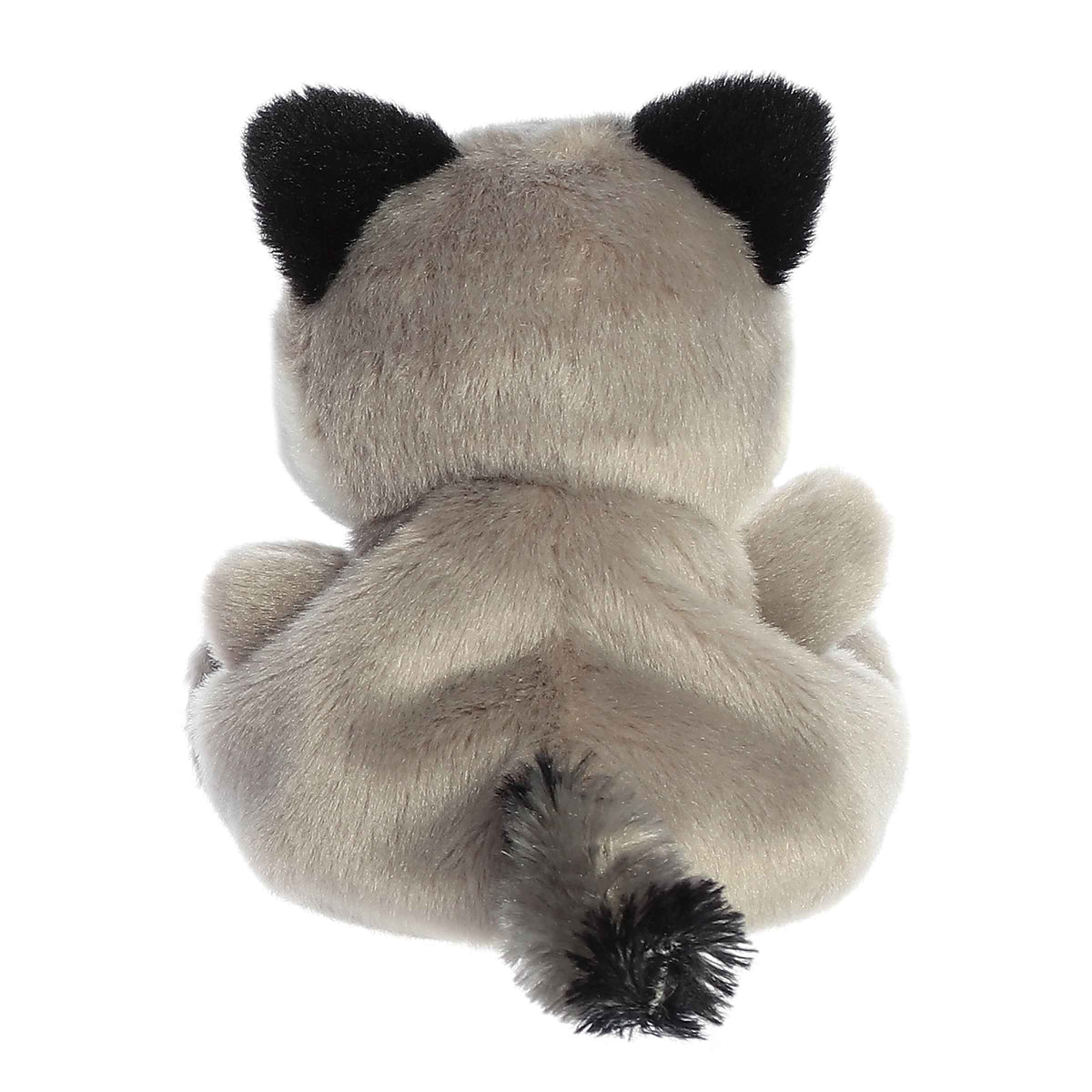 Palm Pals Rascal Raccoon