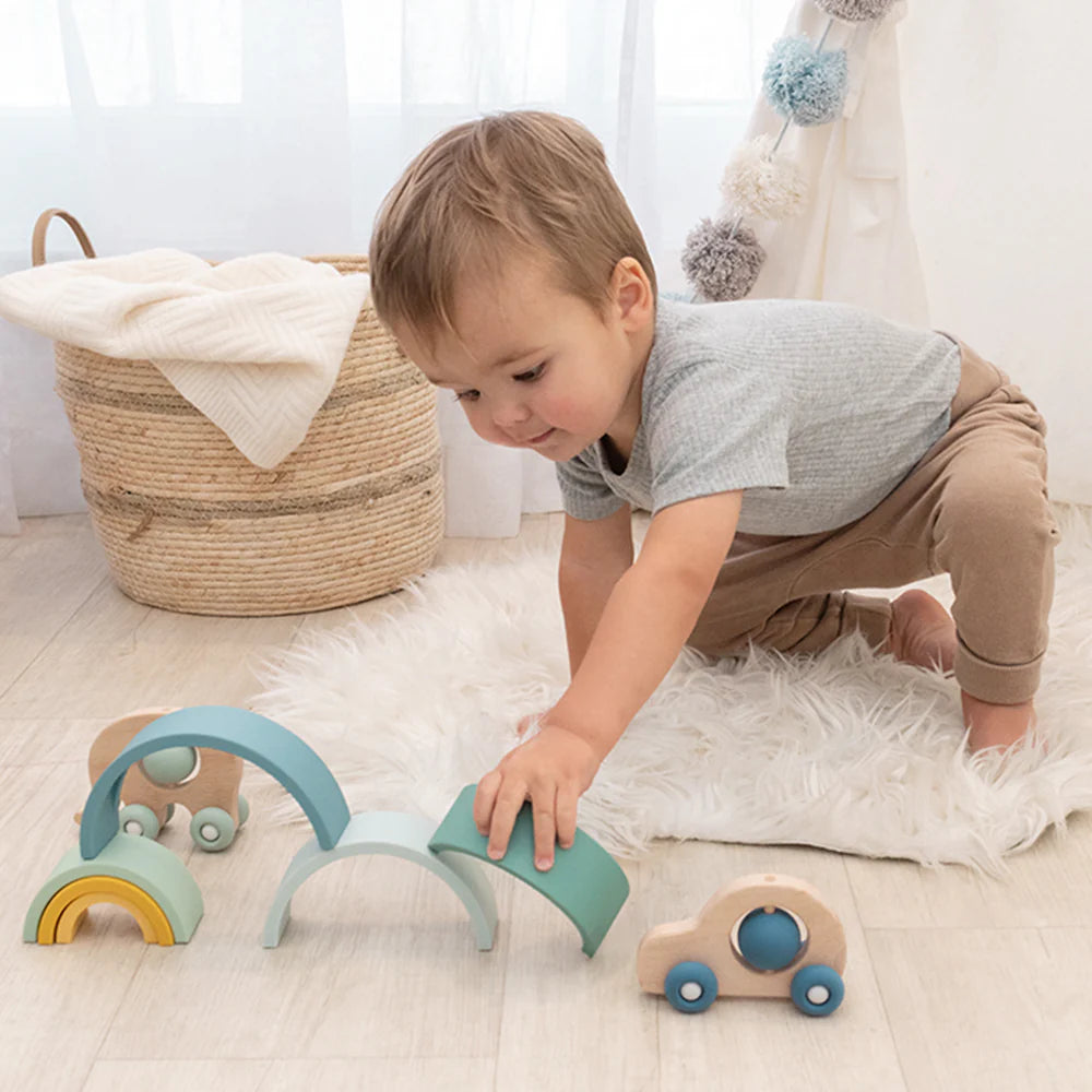 Playground Push A Long- Car