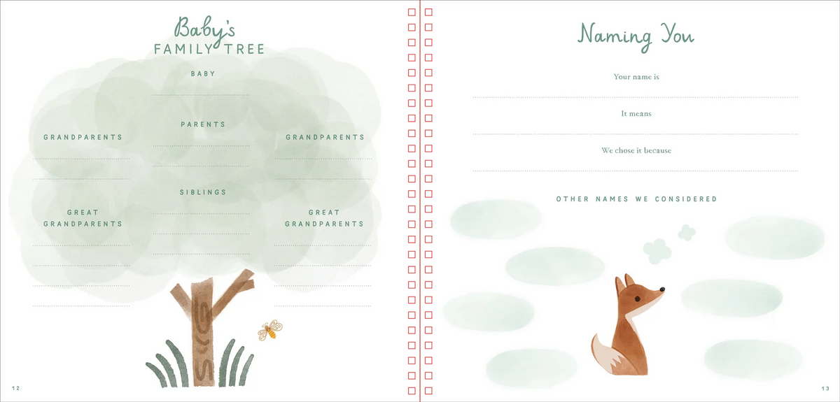 Baby's First Years: Baby Book and Keepsake Photo Album