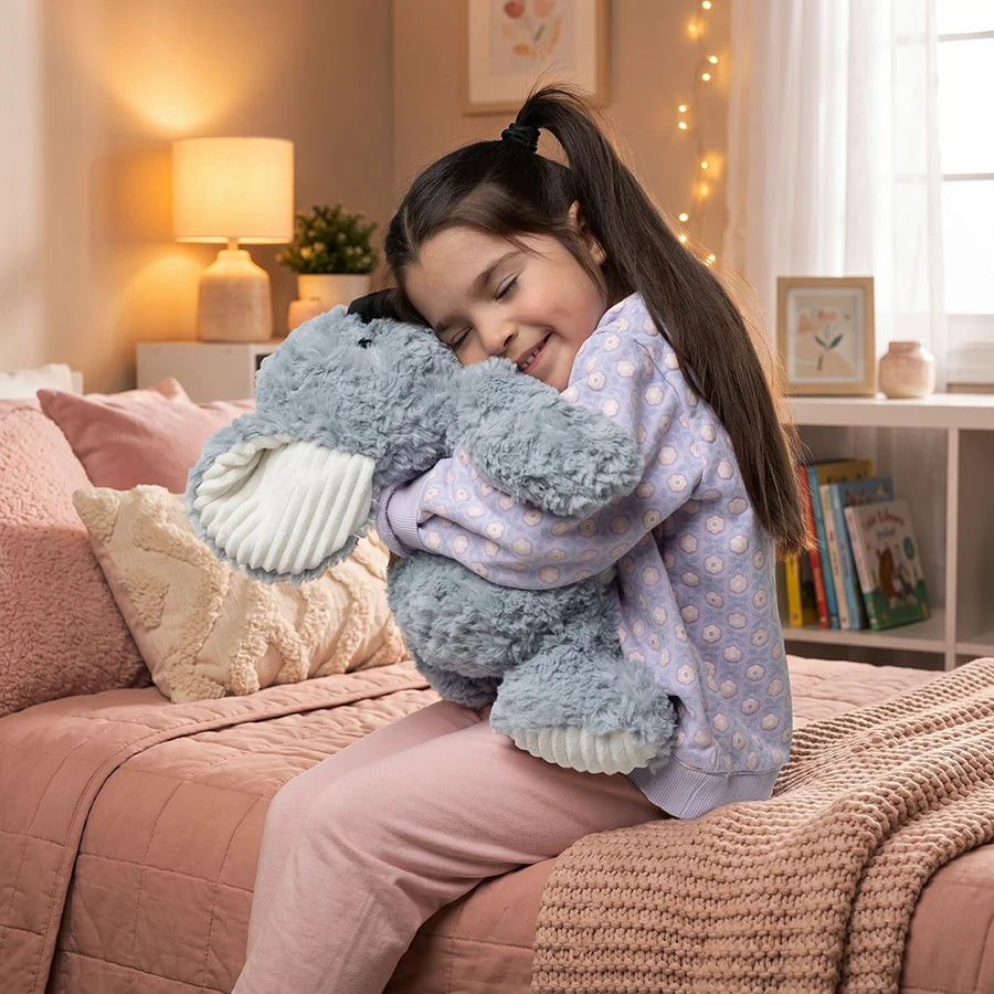 Sensory Sprout Mini & Me Weighted Plush - Koala Cuddles