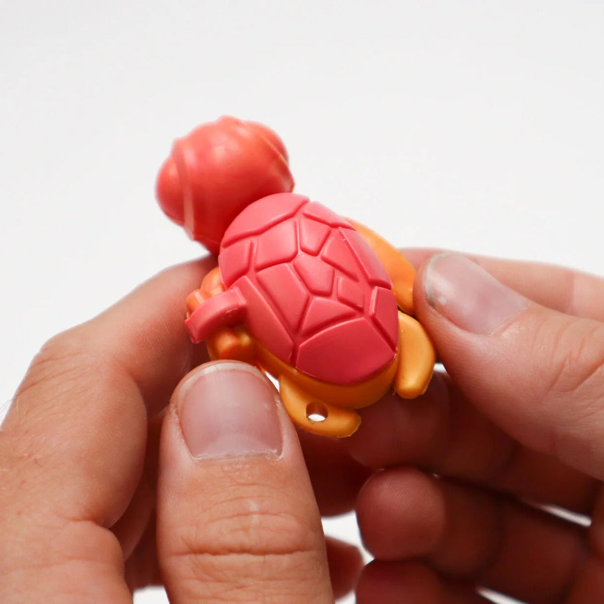 Calm Buddi Turtle