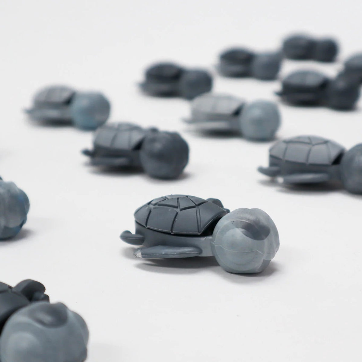 Calm Buddi Turtle