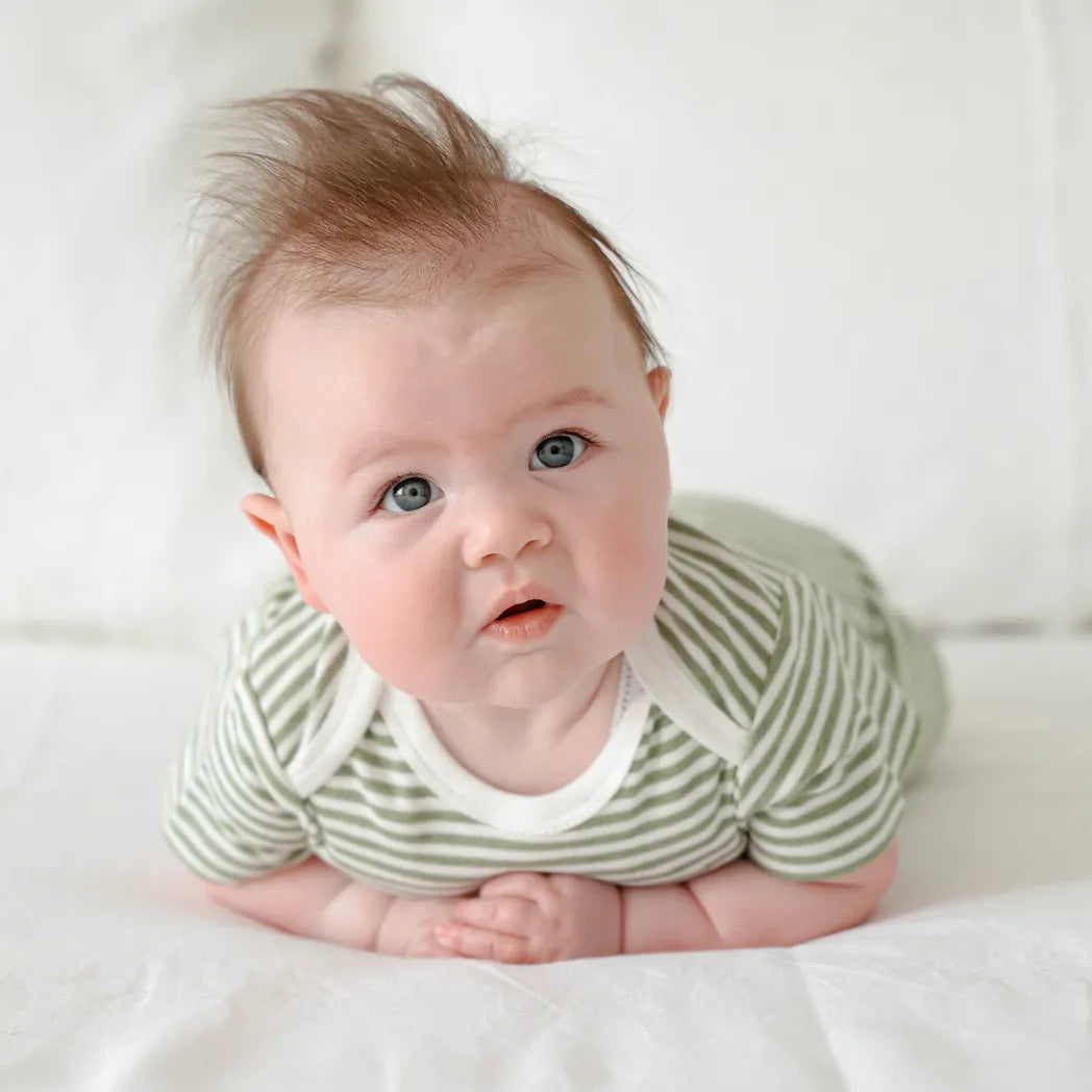 Lummi in Colour Comfy Baby Short Sleeve Bodysuit - Forest Stripes