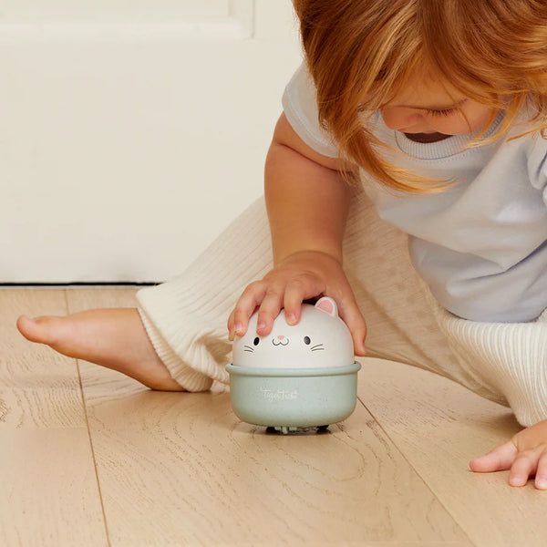 Tiger Tribe Rocking Rollers Cat Toy for Toddlers - That's Cute!
