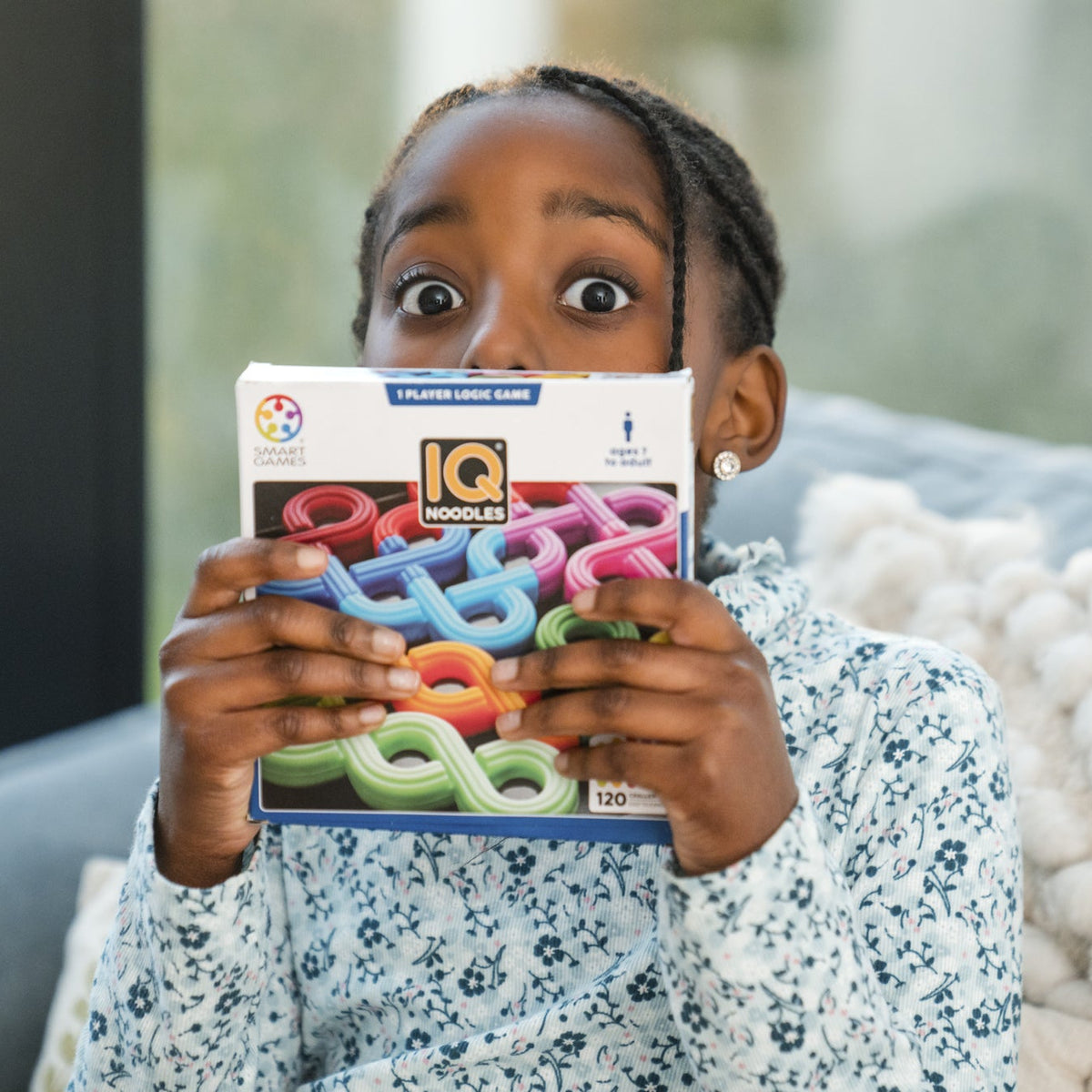 Smart Games IQ Noodles