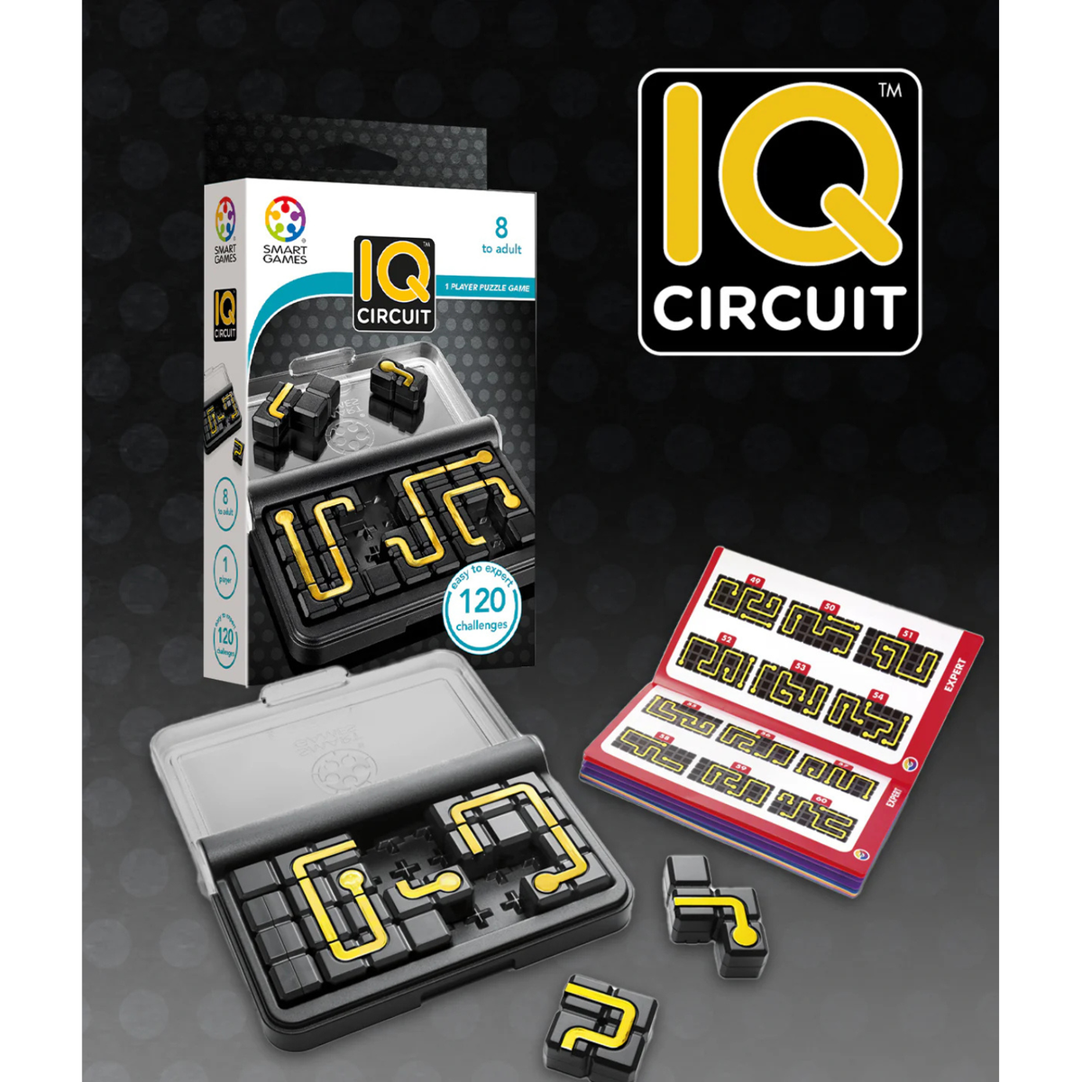 Smart Games IQ Circuit Puzzle