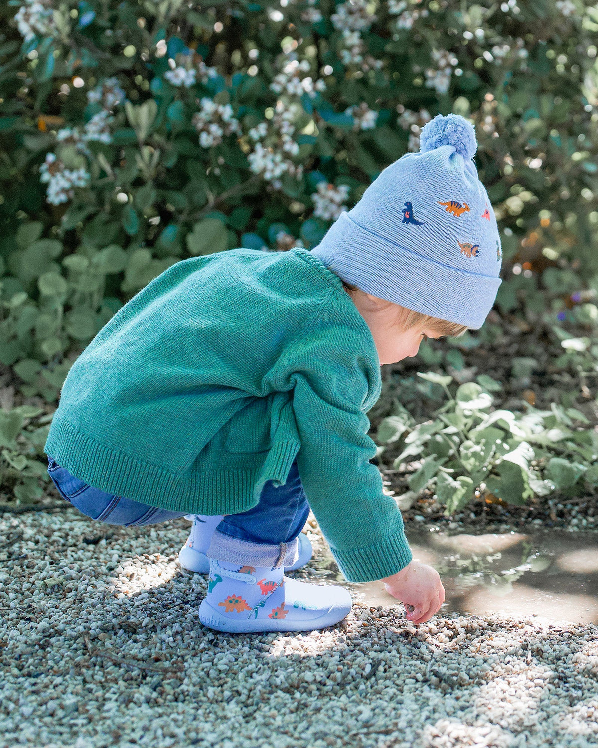 Toshi Organic Beanie Mystical - Dino Bubs
