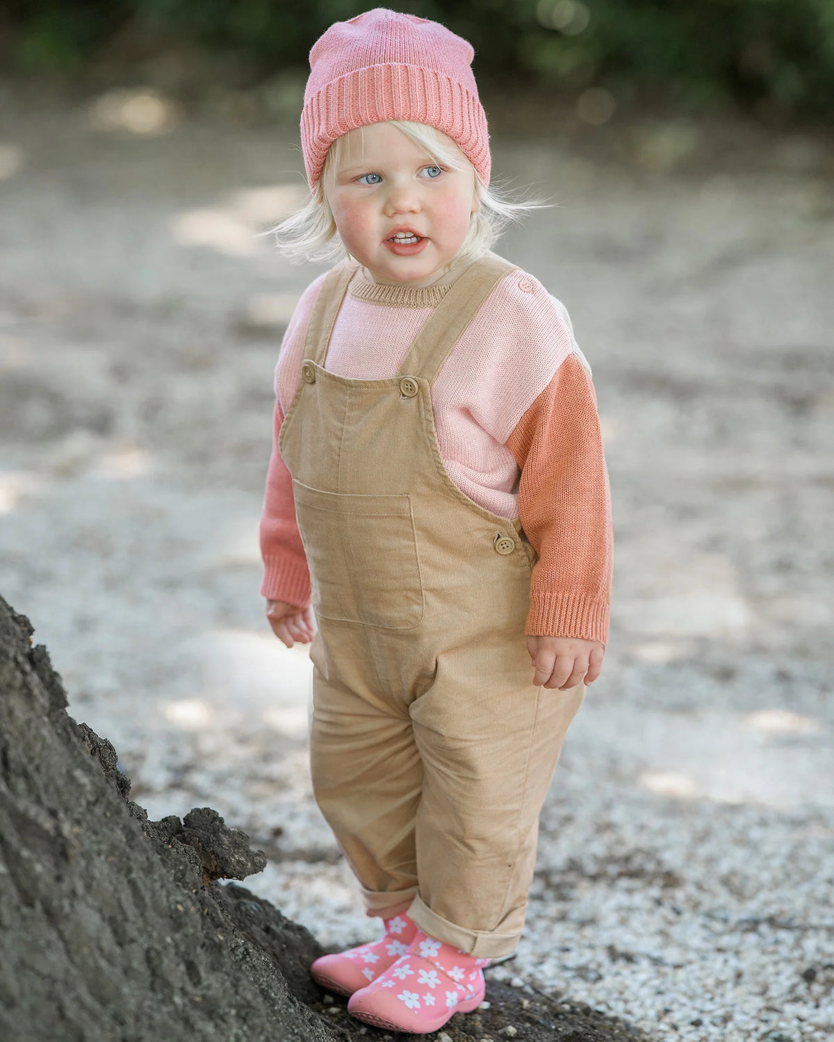 Toshi Organic Pullover Bobby - Misty Rose