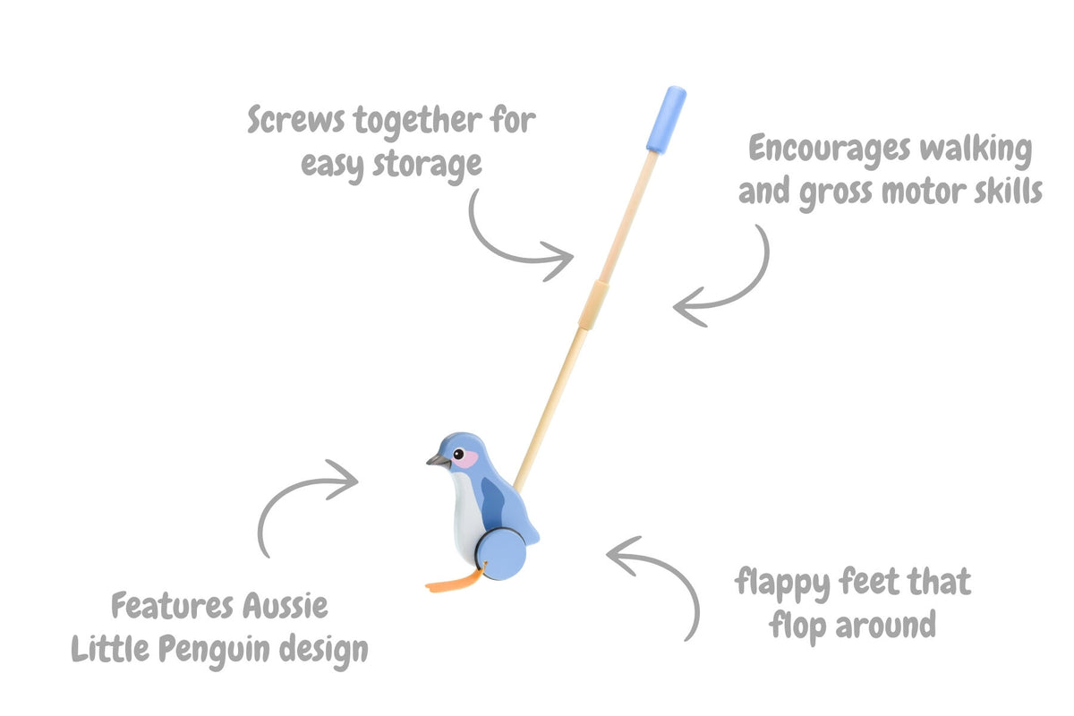 Koala Dream Push Along Little Penguin