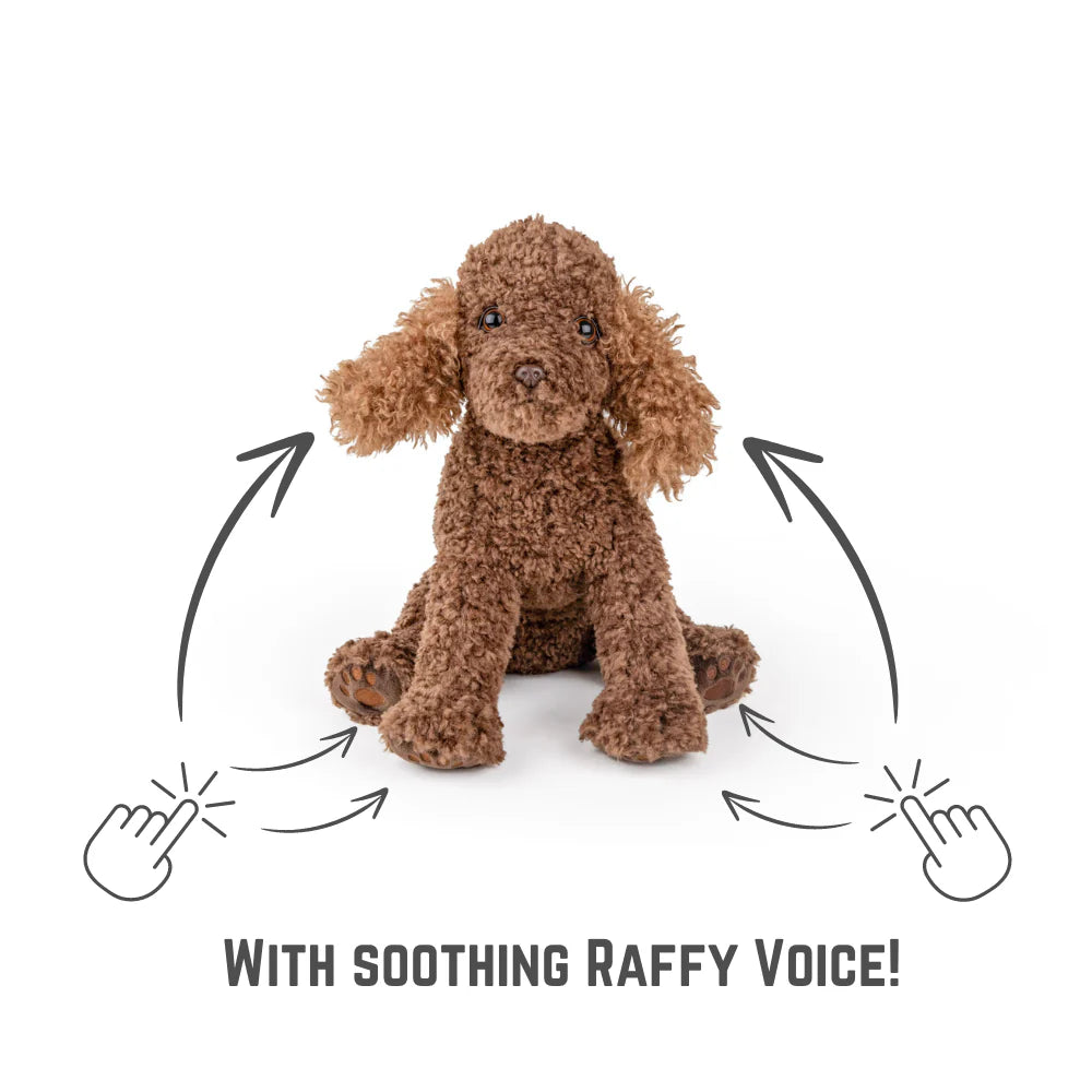 Comfort Me Raffy - Soothing Talking Companion