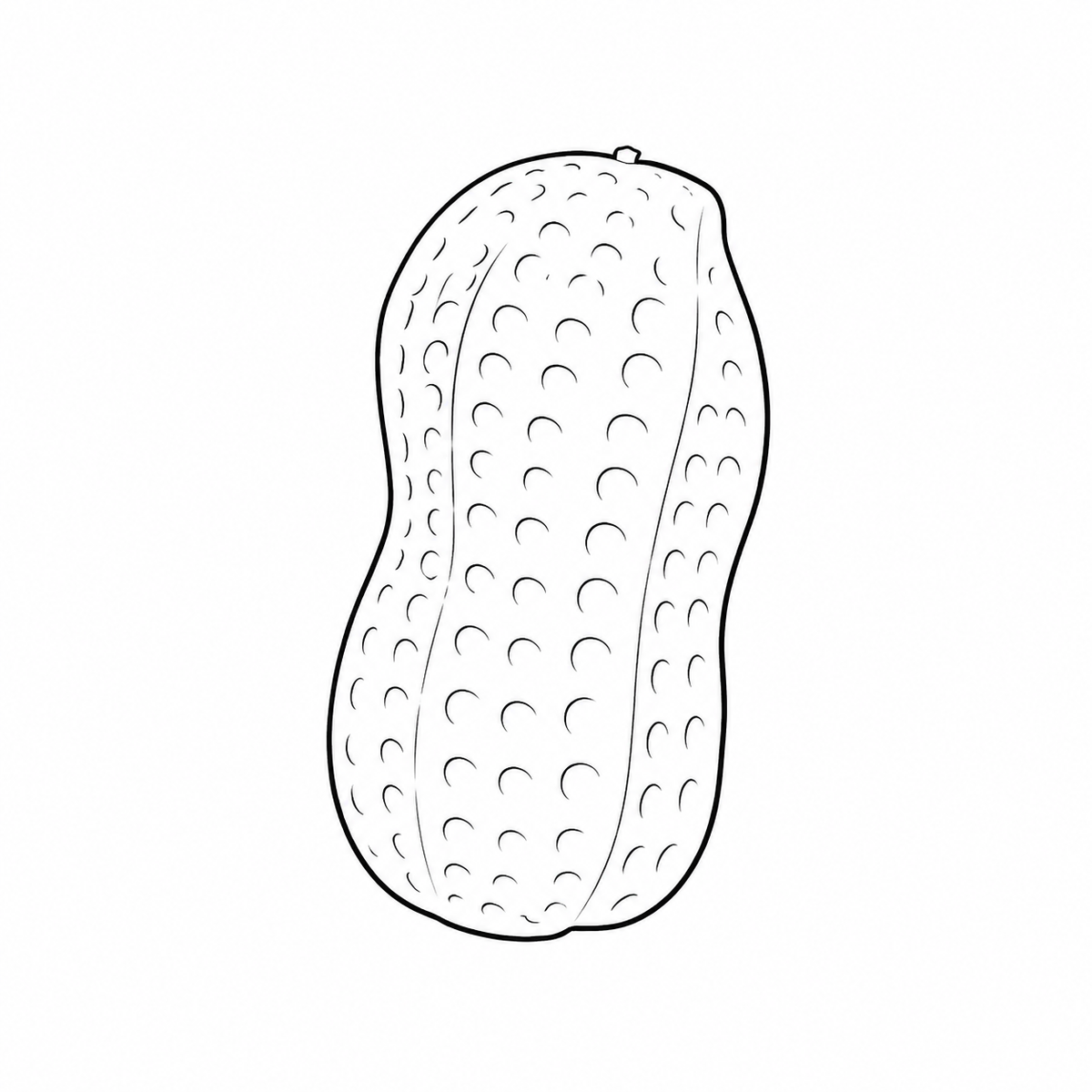 Crunchy Peanut Squishy