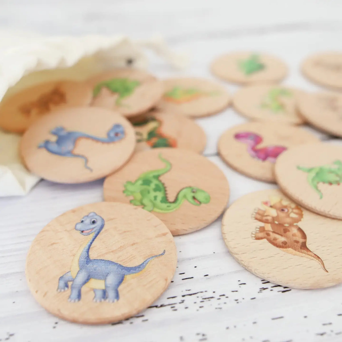 Dinosaur Memory Game