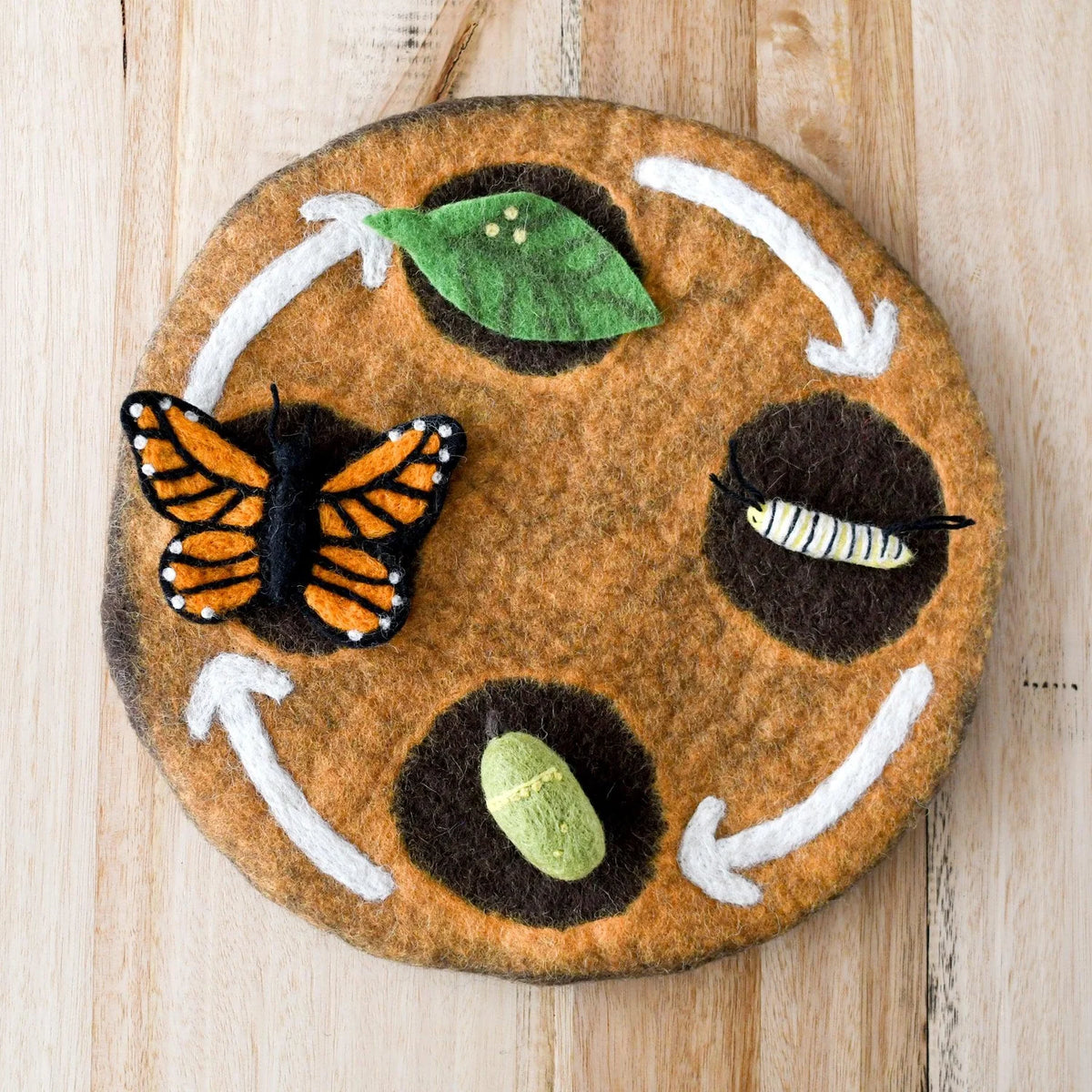 Tara Treasures Felt Life Cycle Tray Play Mat - Earth