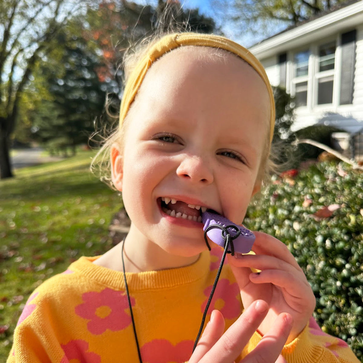 ARK&#39;s Ice Cream Cone Chew Necklace