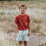 Boys Sonny Shorts - Large Blue / White Stripe
