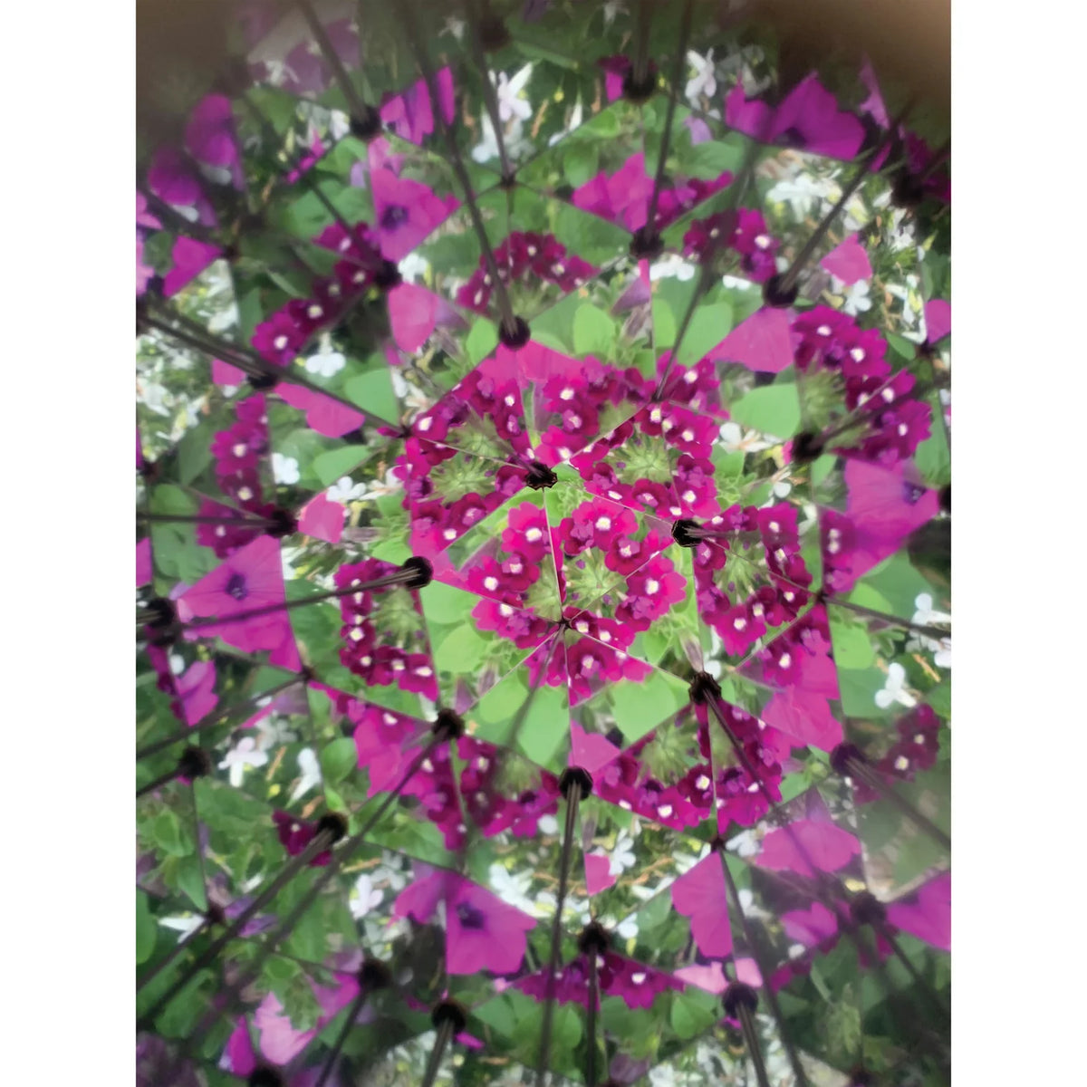 Kikkerland Great Outdoors Kaleidoscope