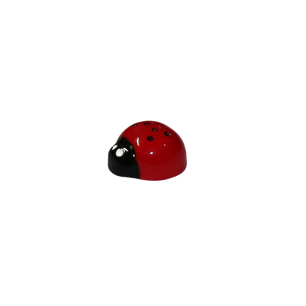 Mini Ladybird