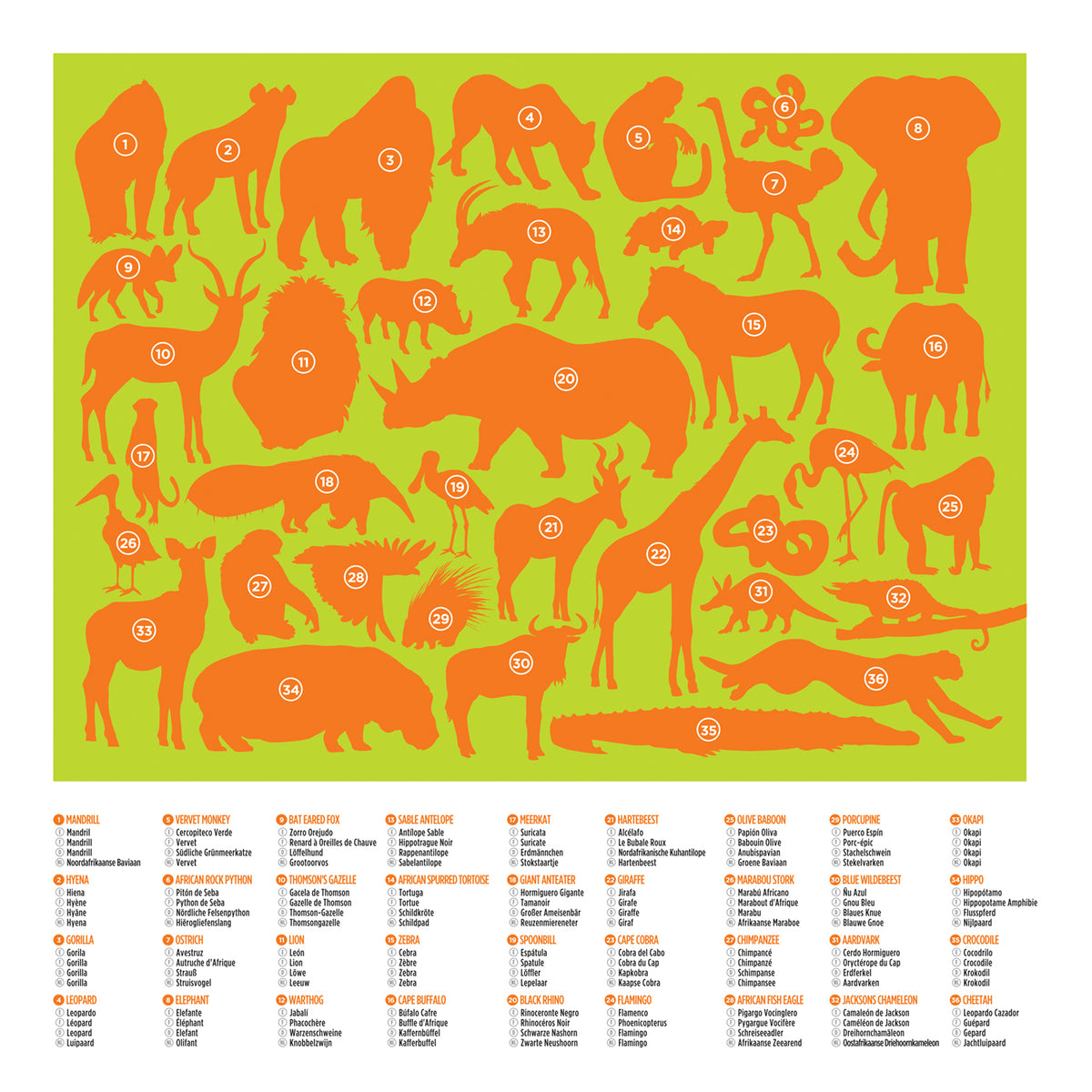 36 Animal Puzzle 100 pc - Wild Animals