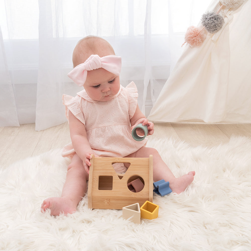 Playground House Shape Sorter