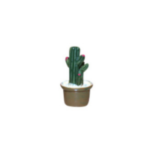 Mini Cactus