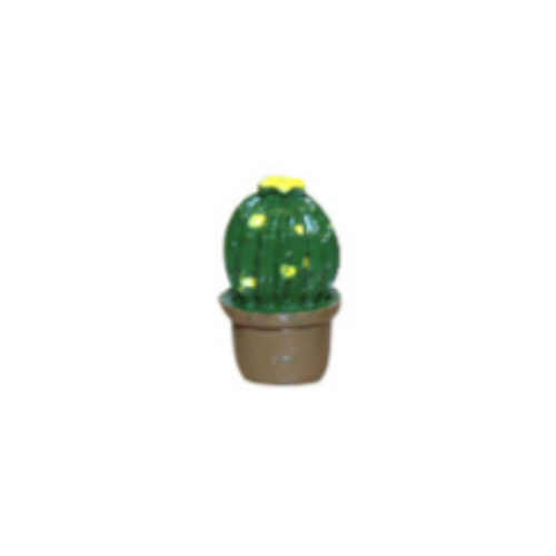 Mini Cactus