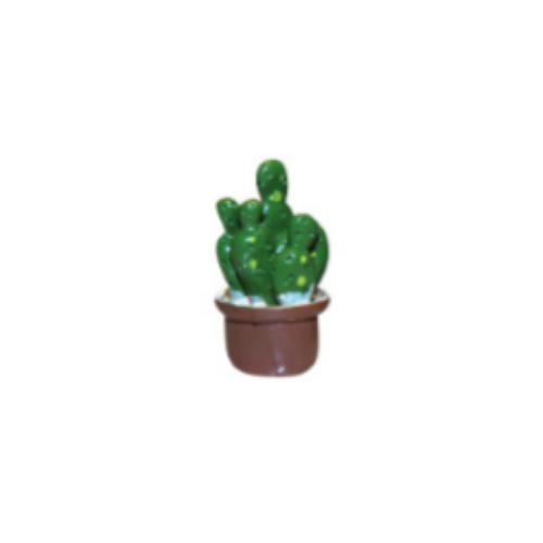 Mini Cactus