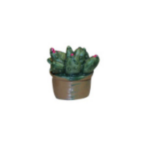 Mini Cactus