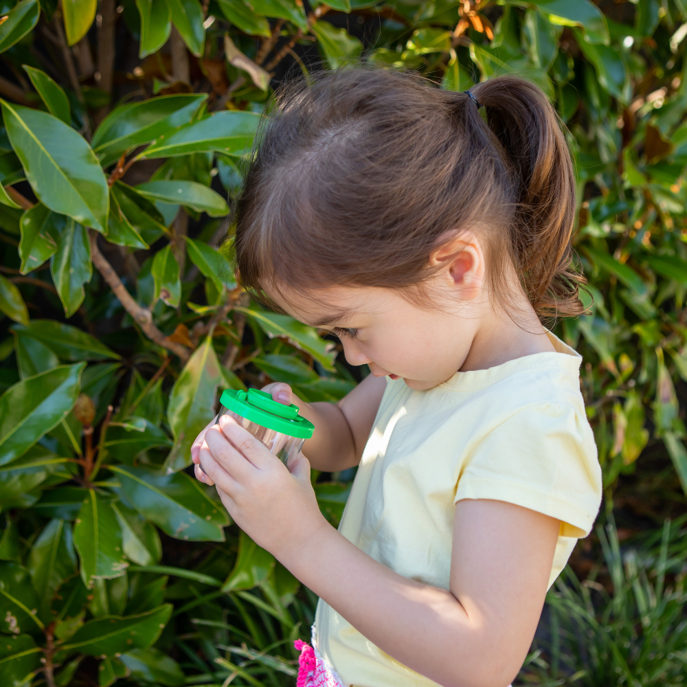 Bug Spotter Kit