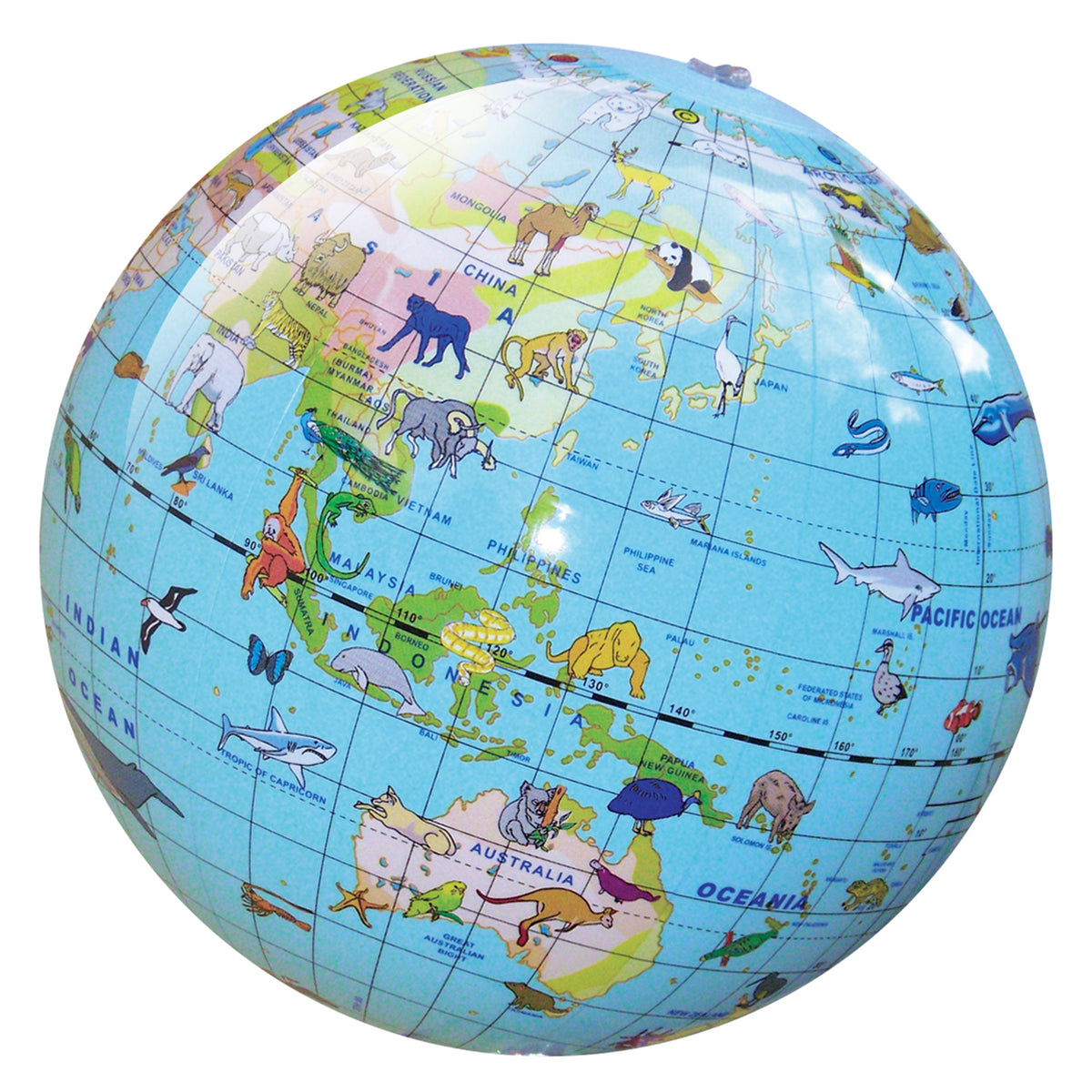 World Globe - Animals of the World 30cm