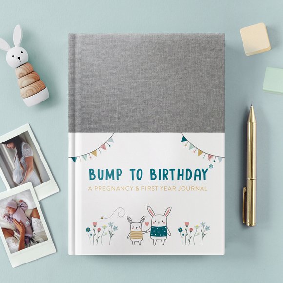 Bump to Birthday: A Pregnancy & First Year Journal